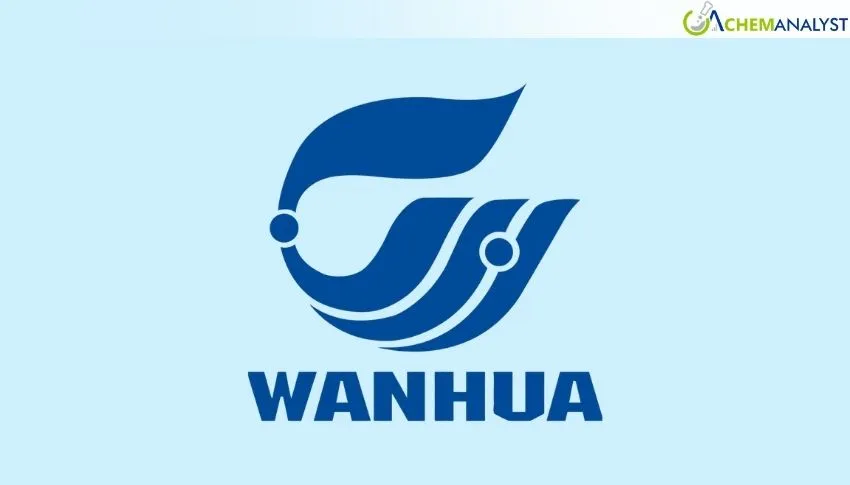 Wanhua Chemical Boosts Polyether Polyol Leadership With 262,000-Ton Capacity Expansion and Differentiated Production Strategy