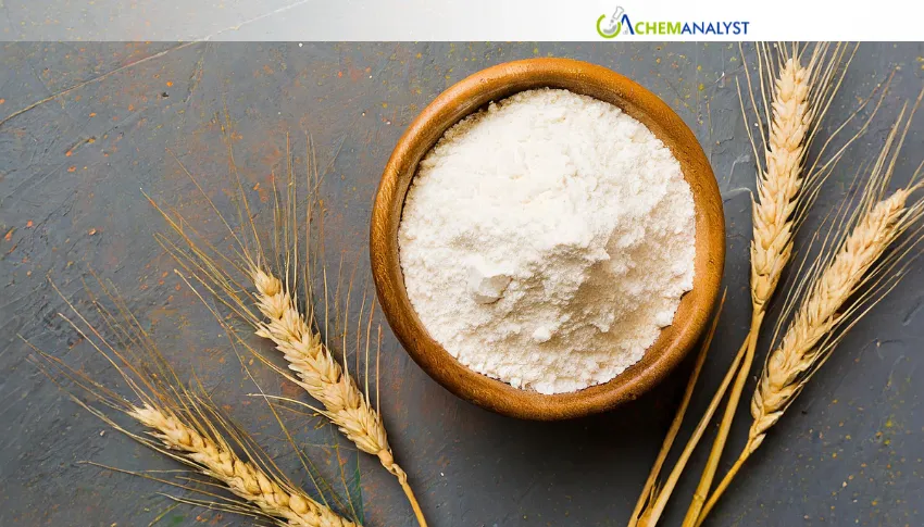 Will US Wheat Starch Prices Recover in August After a Softer July?